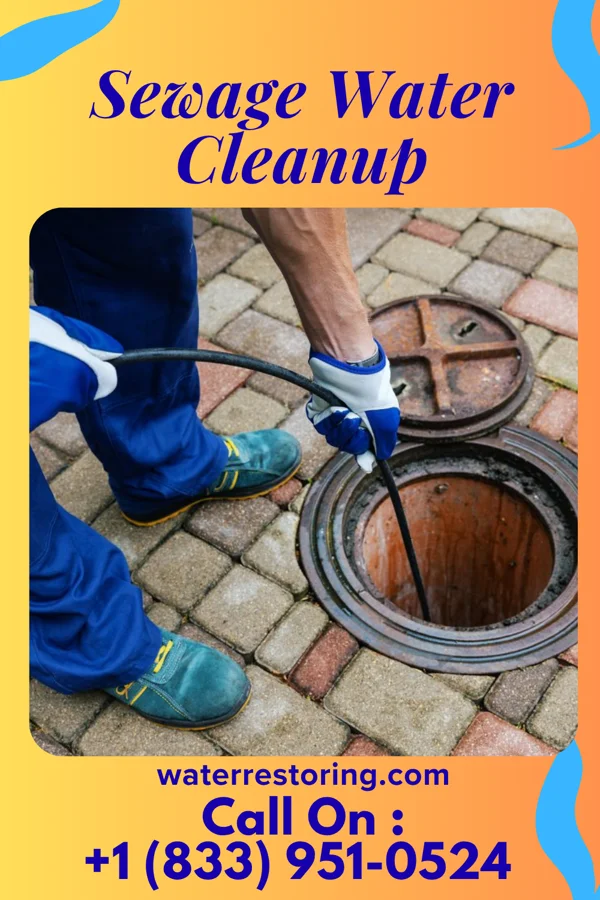 Sewage Water Cleanup in Hanska, MN